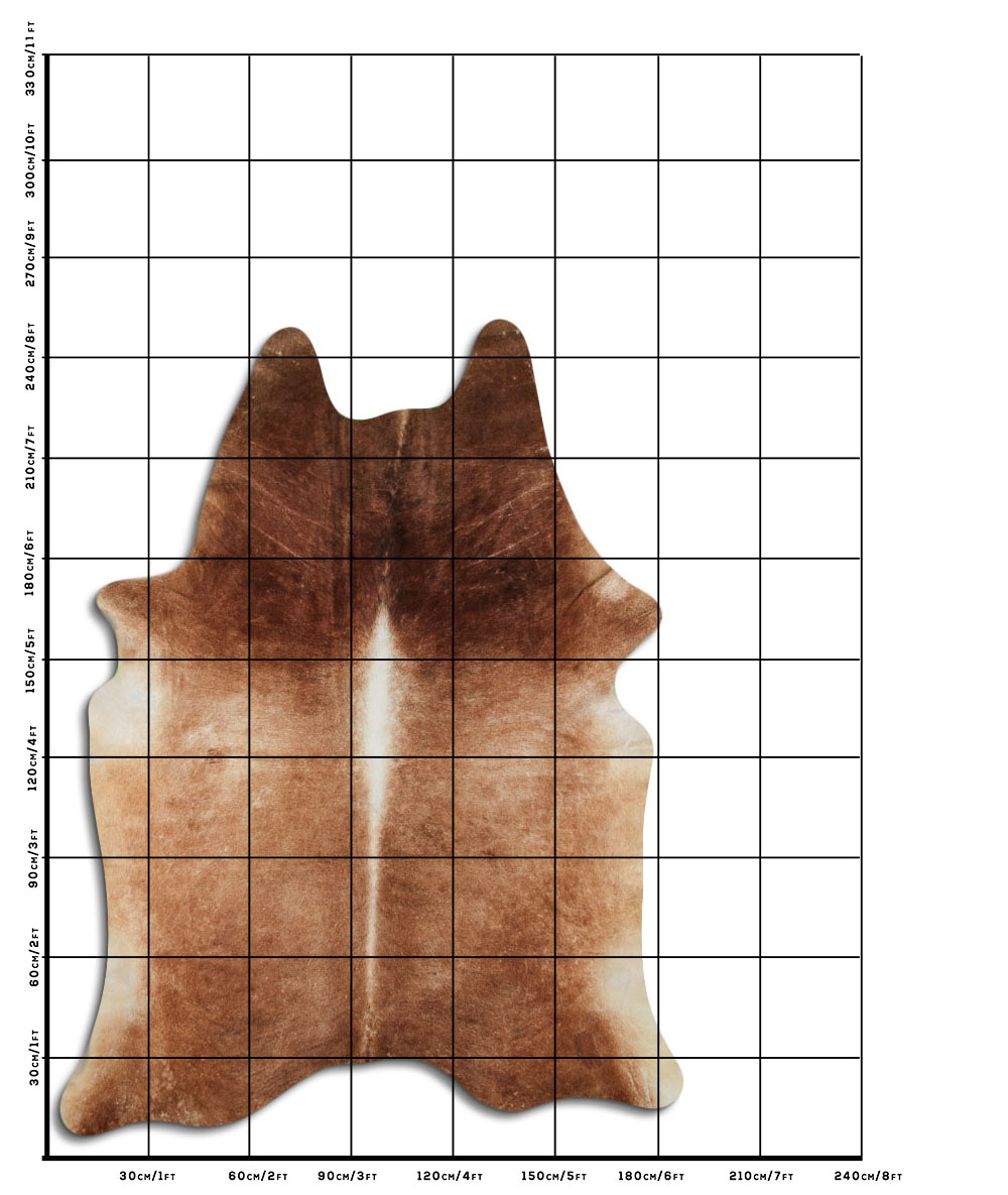 Marrom 3 - 4 M Classe B Marrom 3 - 4 M Classe B