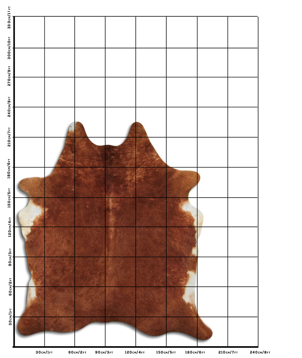 Marrom 3 - 4 M Classe B Marrom 3 - 4 M Classe B