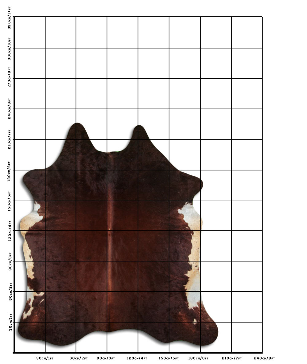 Marrom 3 - 4 M Classe B Marrom 3 - 4 M Classe B