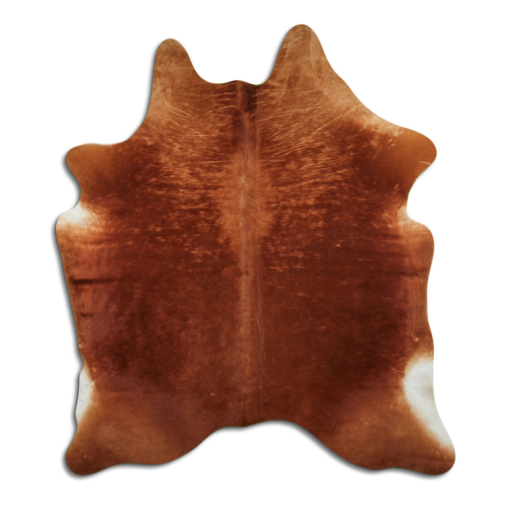 Marrom 3 - 4 M Classe B