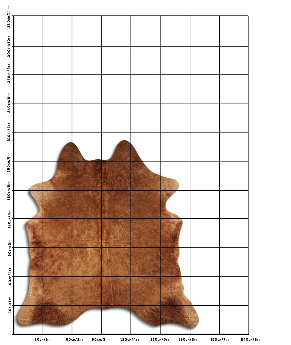 Caramelo 2 - 3 M Classe A Caramelo 2 - 3 M Classe A