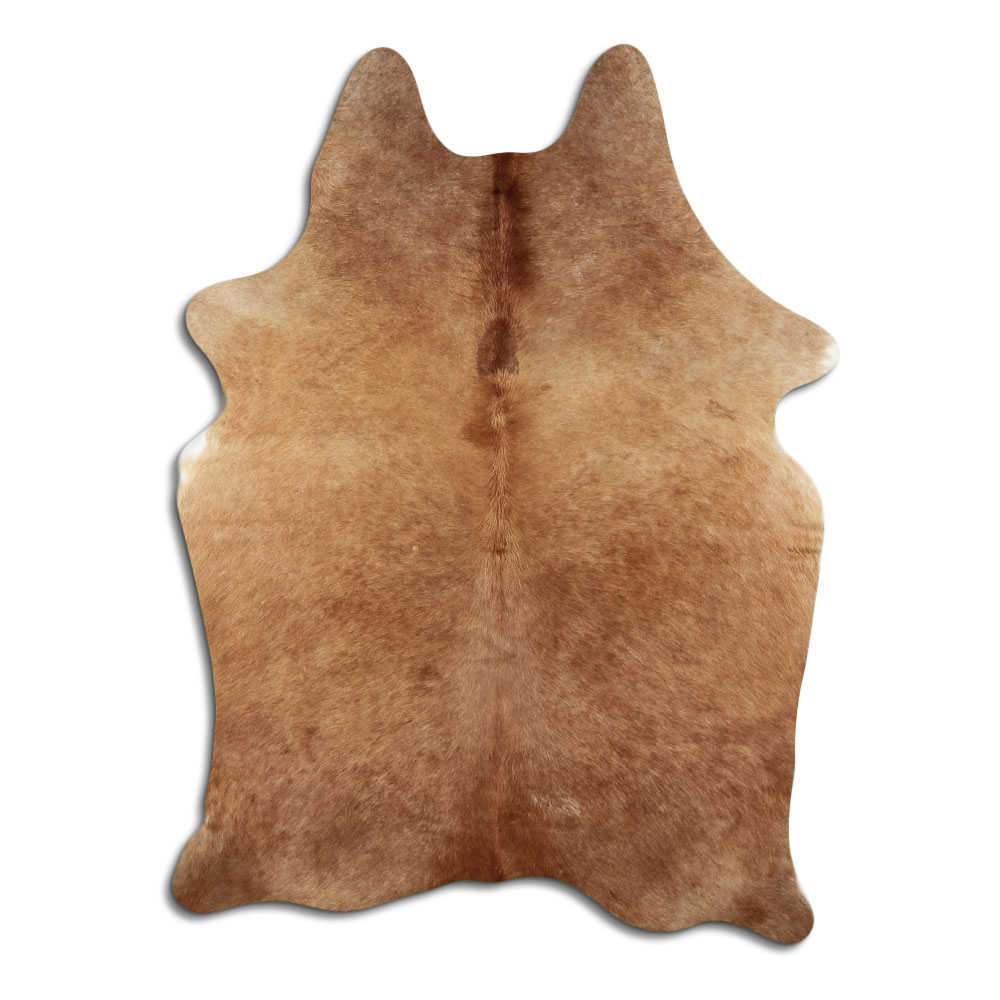 Caramelo 2 - 3 M Classe B