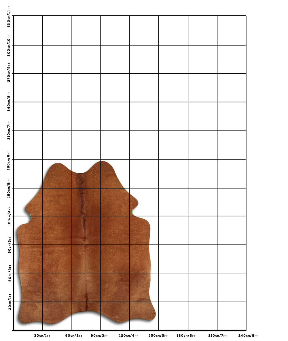 Caramelo 2 - 3 M Classe B