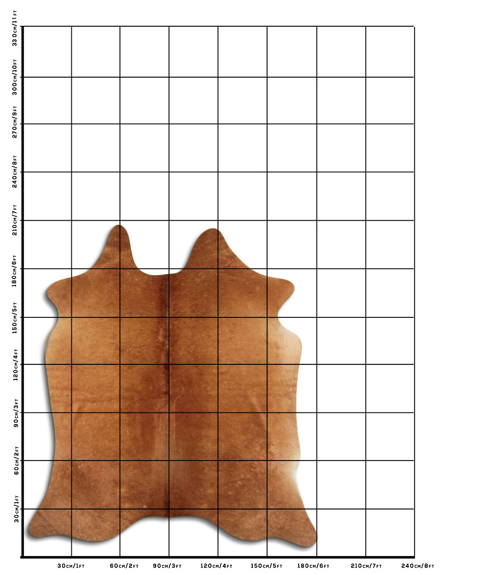Caramelo 2 - 3 M Classe B