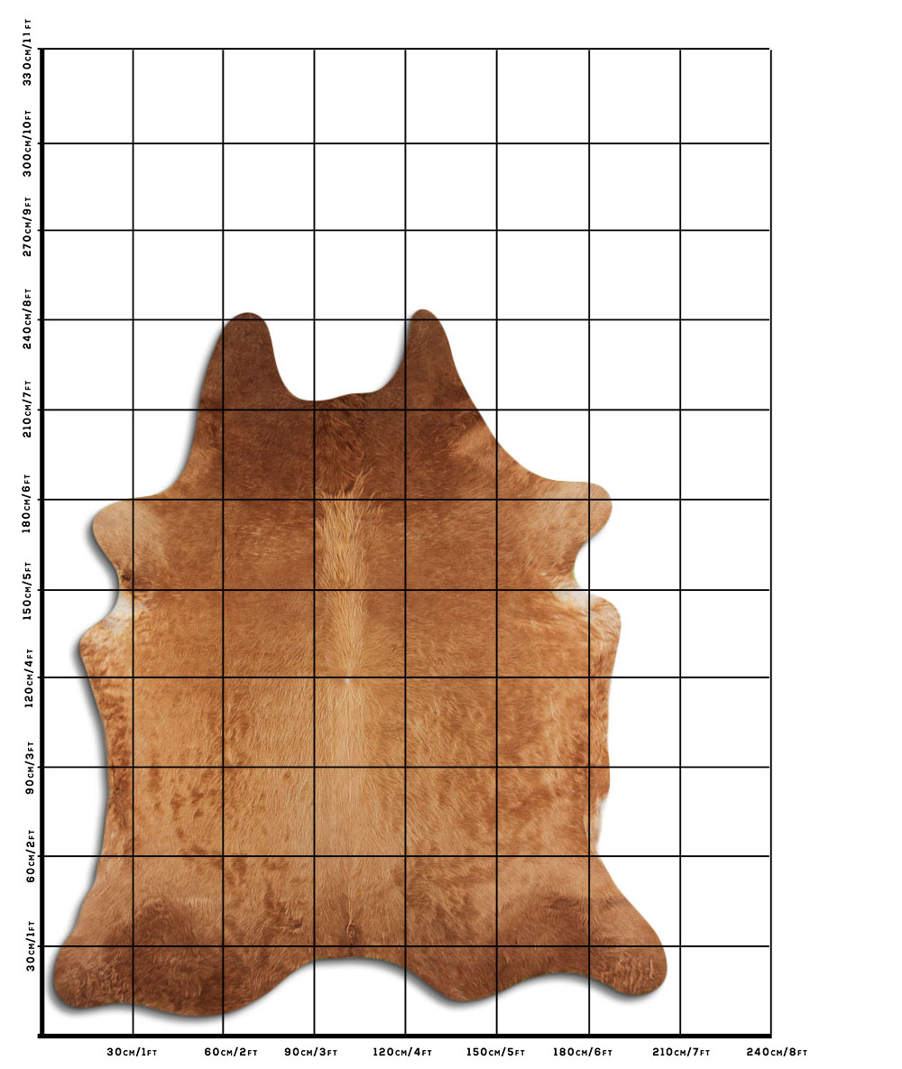 Caramelo 3 - 4 M Classe A