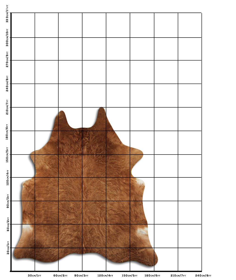 Caramelo 3 - 4 M Classe A Caramelo 3 - 4 M Classe A