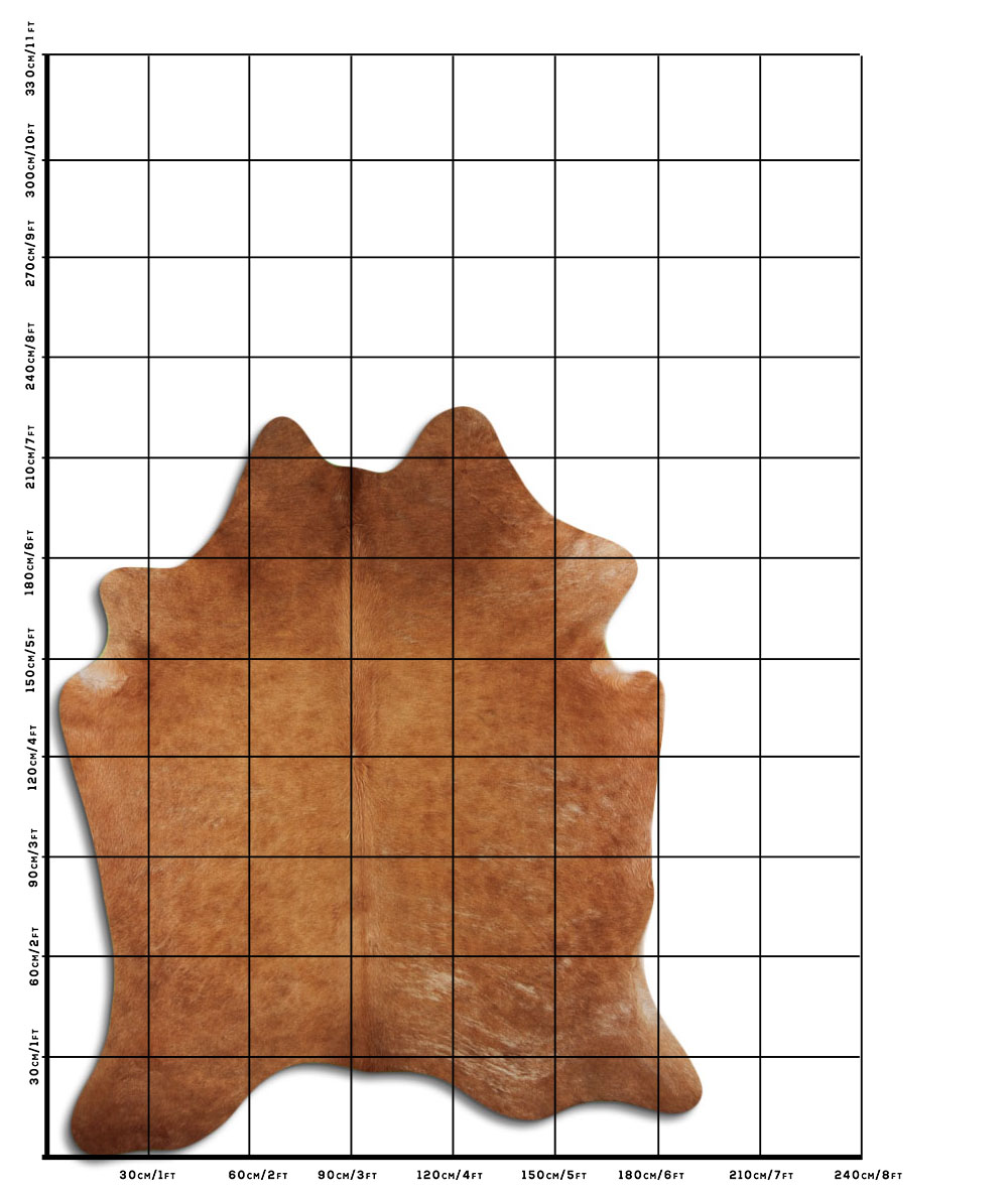 Caramelo 3 - 4 M Classe A Caramelo 3 - 4 M Classe A