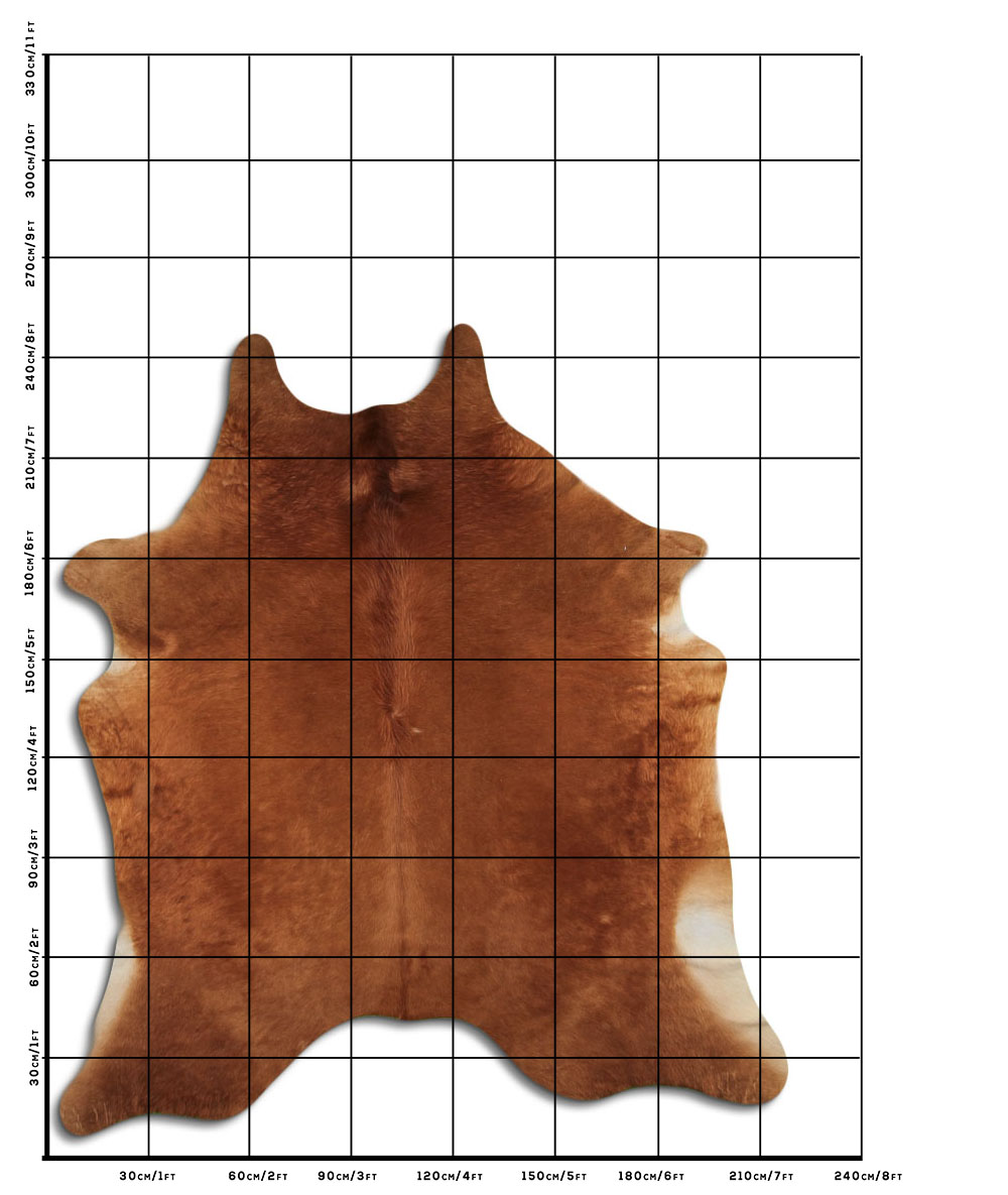 Caramelo 3 - 4 M Classe A Caramelo 3 - 4 M Classe A