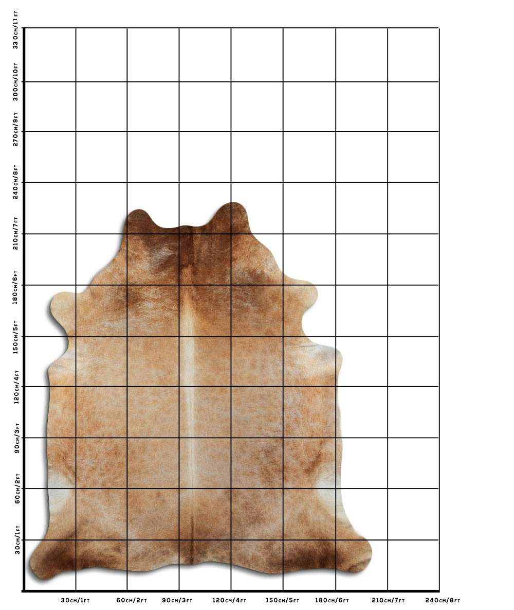 Caramelo 3 - 4 M Classe A Caramelo 3 - 4 M Classe A