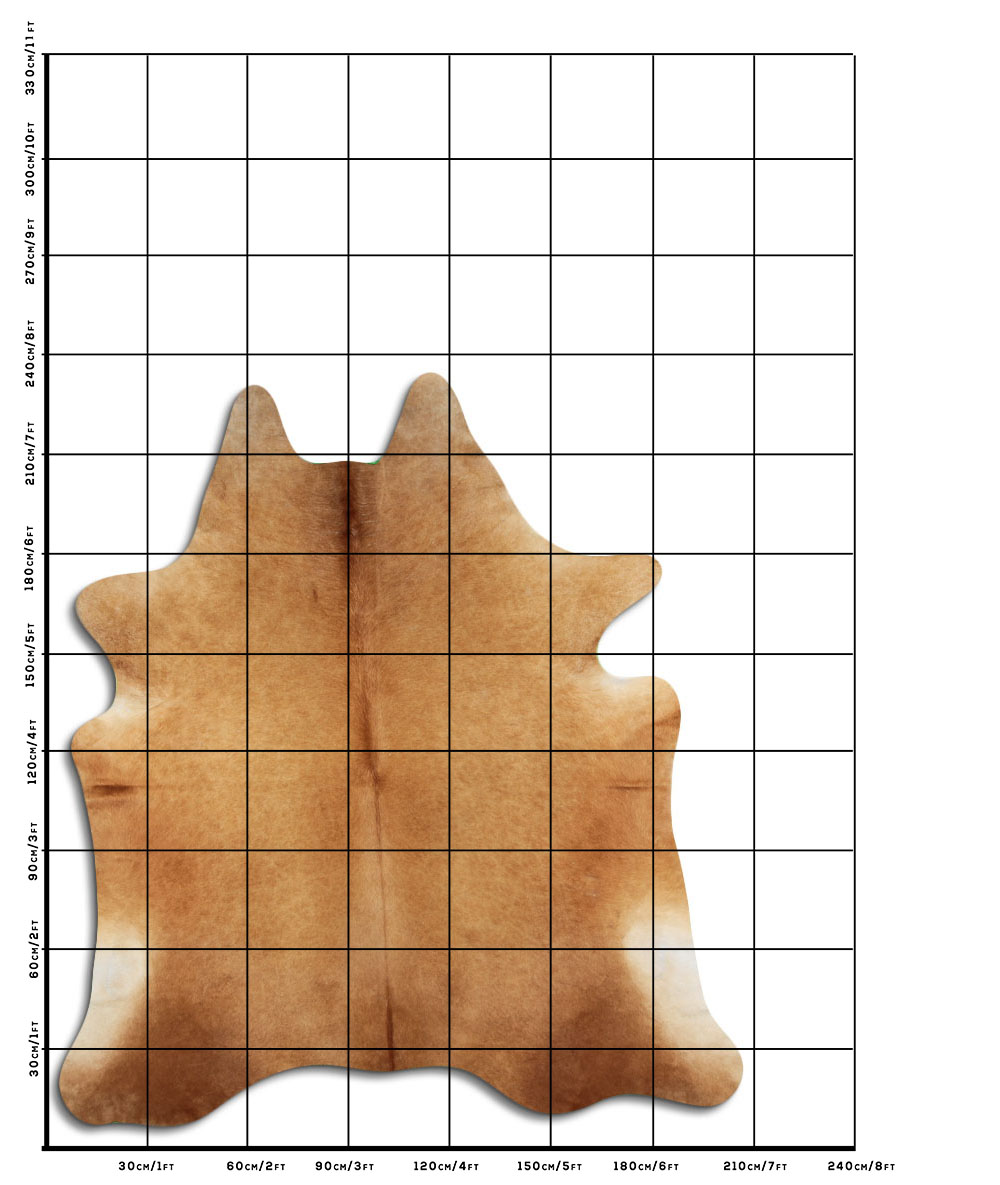 Caramelo 3 - 4 M Classe B
