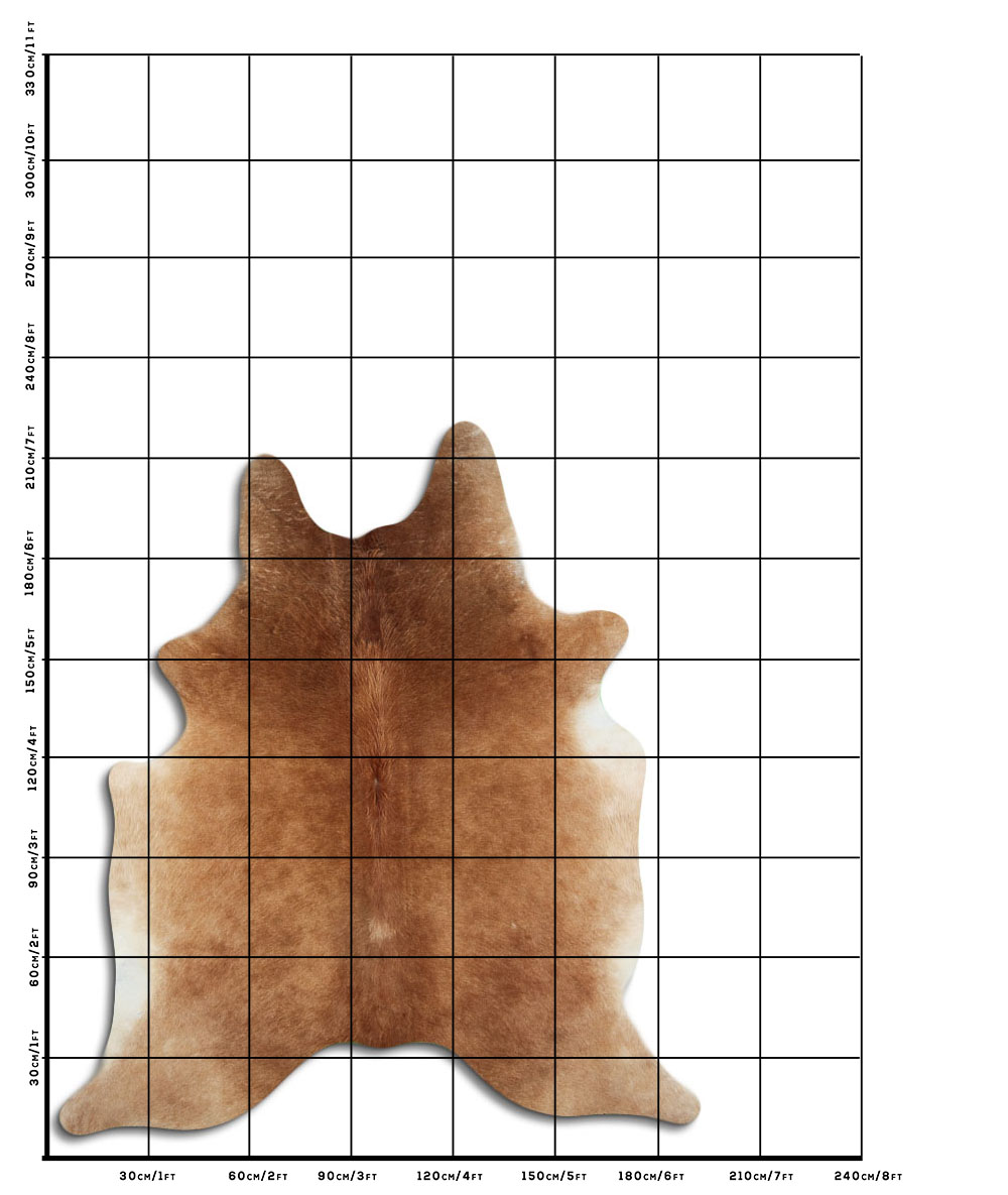 Caramelo 3 - 4 M Classe B