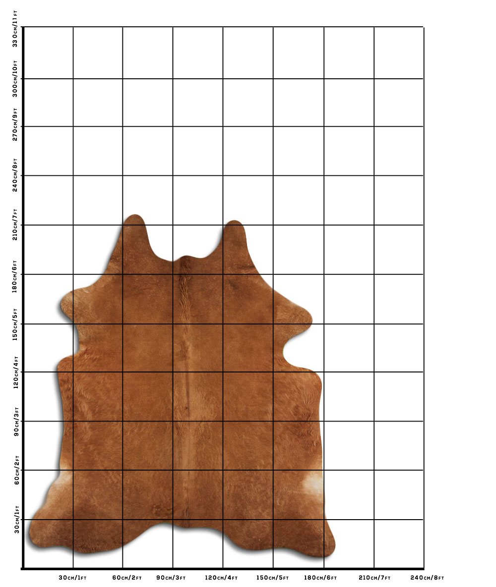 Caramelo 3 - 4 M Classe B