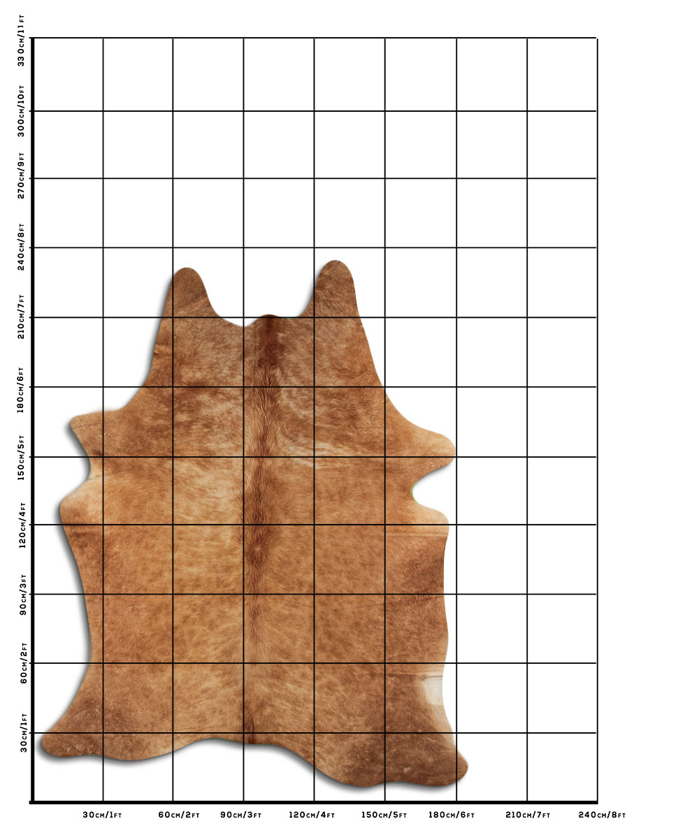 Caramelo 3 - 4 M Classe B