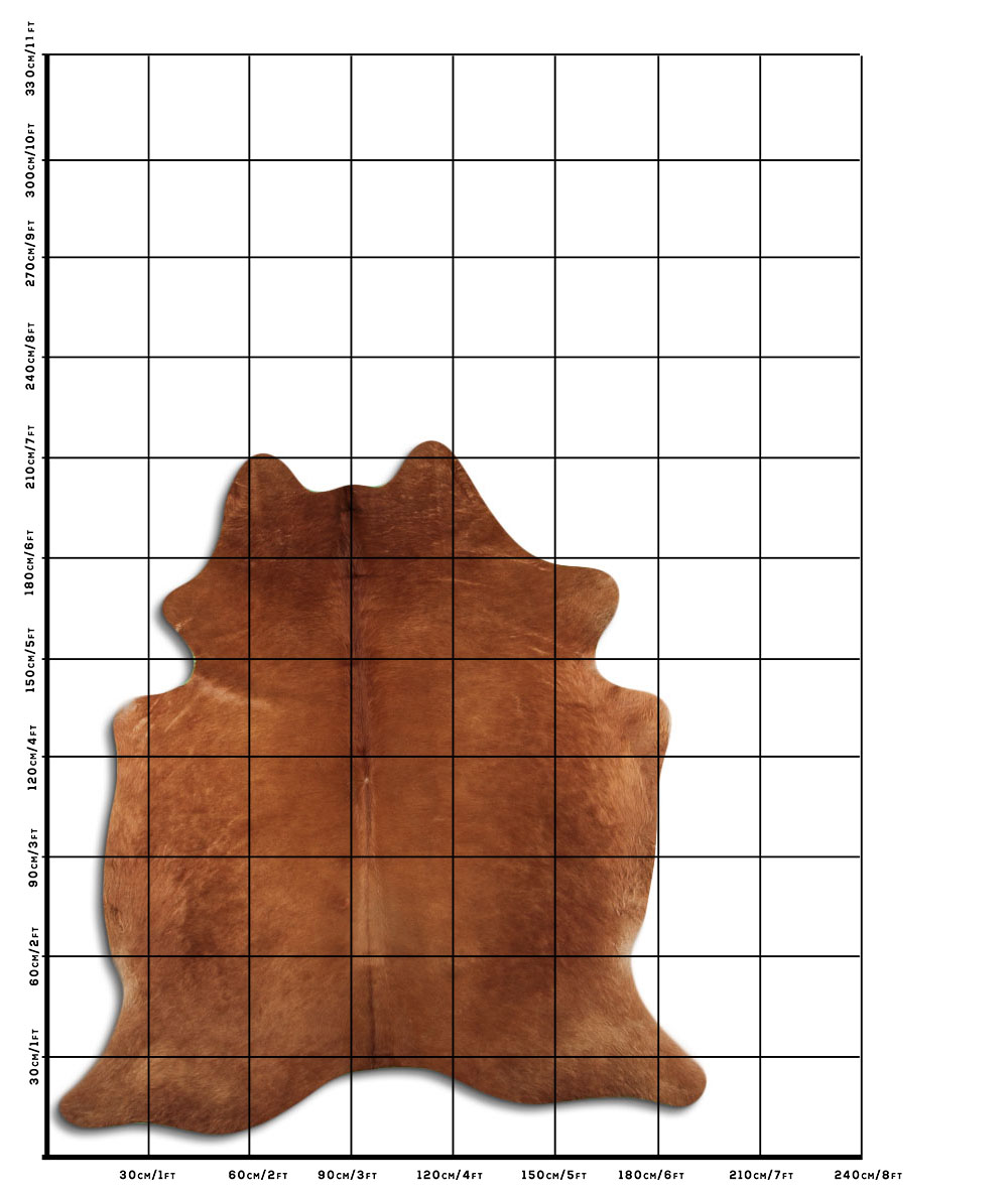Caramelo 3 - 4 M Classe B