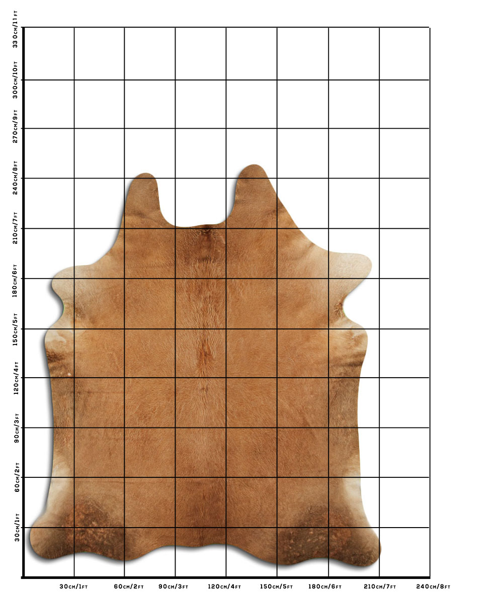 Caramelo 3 - 4 M Classe B