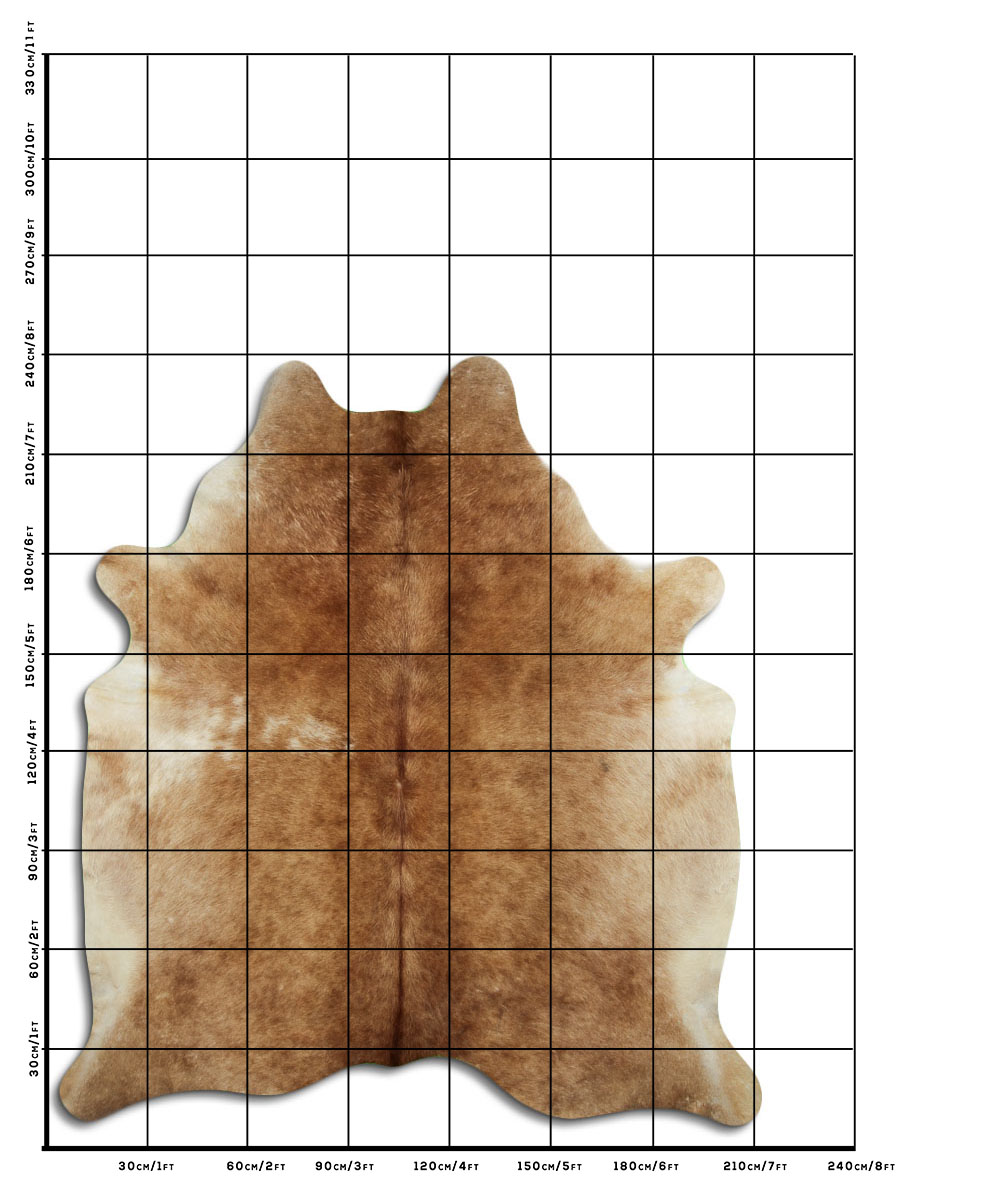 Caramelo 3 - 4 M Classe B Caramelo 3 - 4 M Classe B