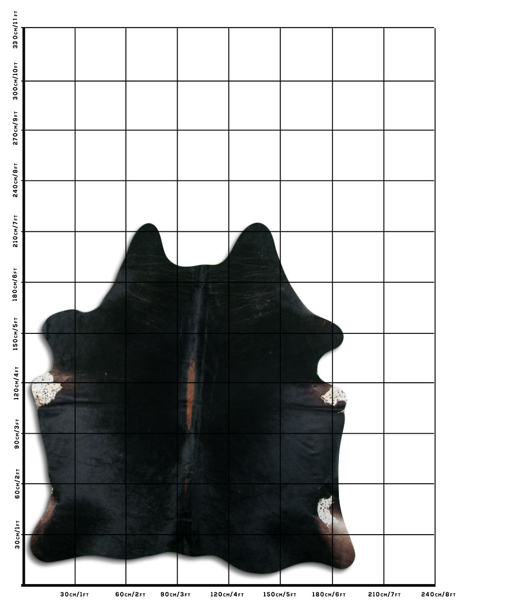 Cafe 3 - 4 M Classe A