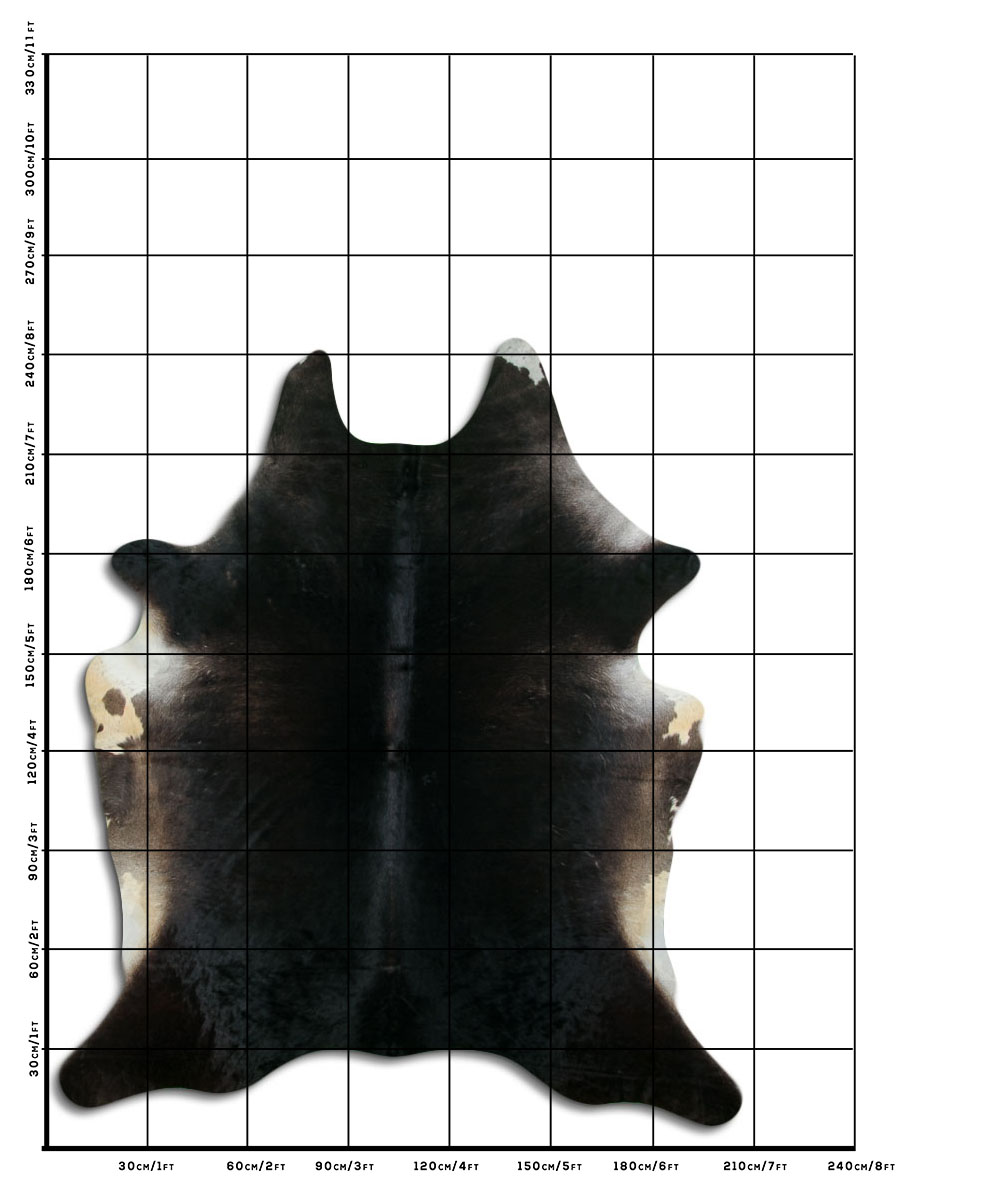 Cafe 3 - 4 M Classe B Cafe 3 - 4 M Classe B