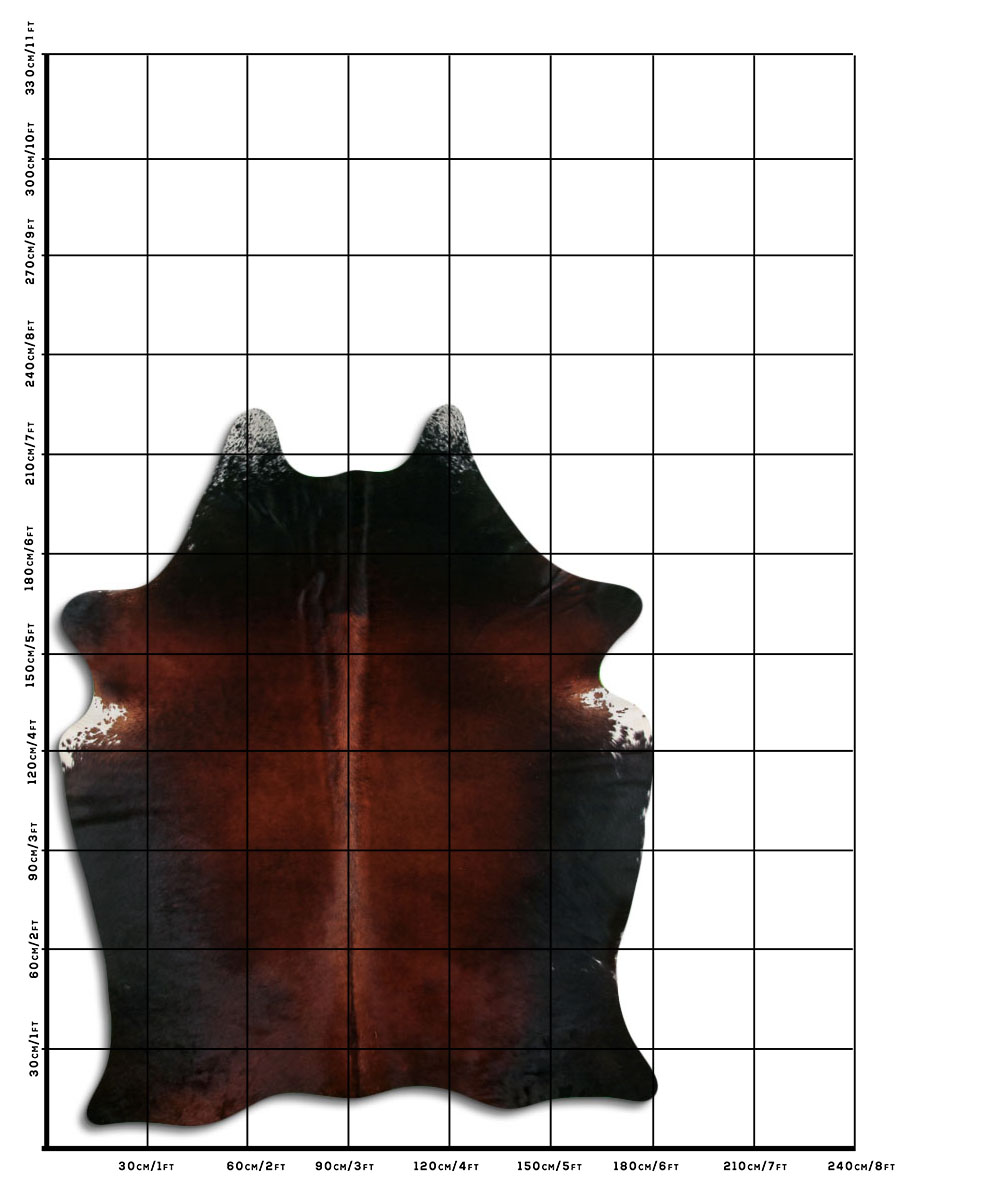 Tornasolado 3 - 4 M Classe A Tornasolado 3 - 4 M Classe A