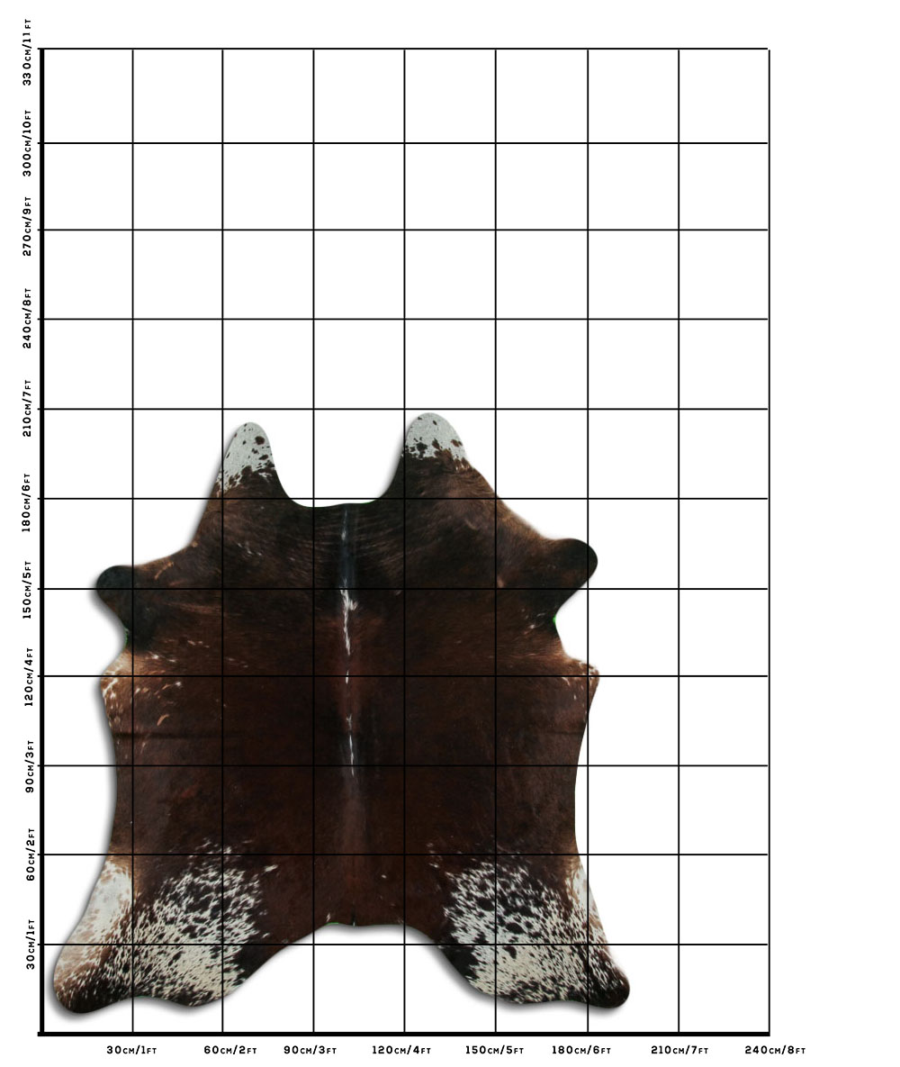 Tornasolado 3 - 4 M Classe B Tornasolado 3 - 4 M Classe B