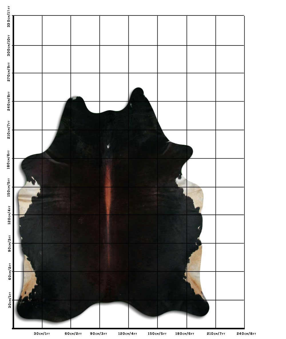 Tornasolado 3 - 4 M Classe B Tornasolado 3 - 4 M Classe B
