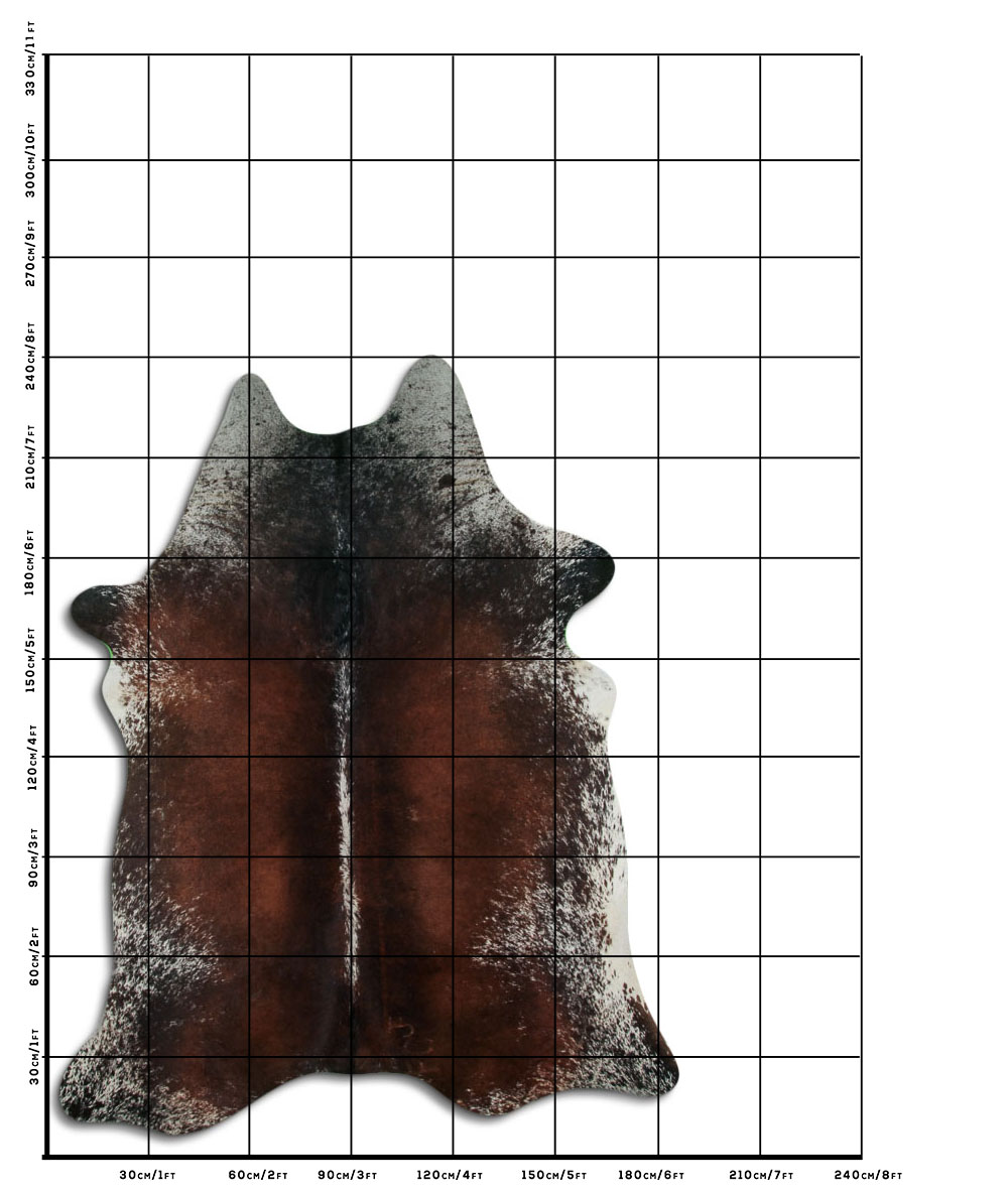 Tornasolado 3 - 4 M Classe B Tornasolado 3 - 4 M Classe B