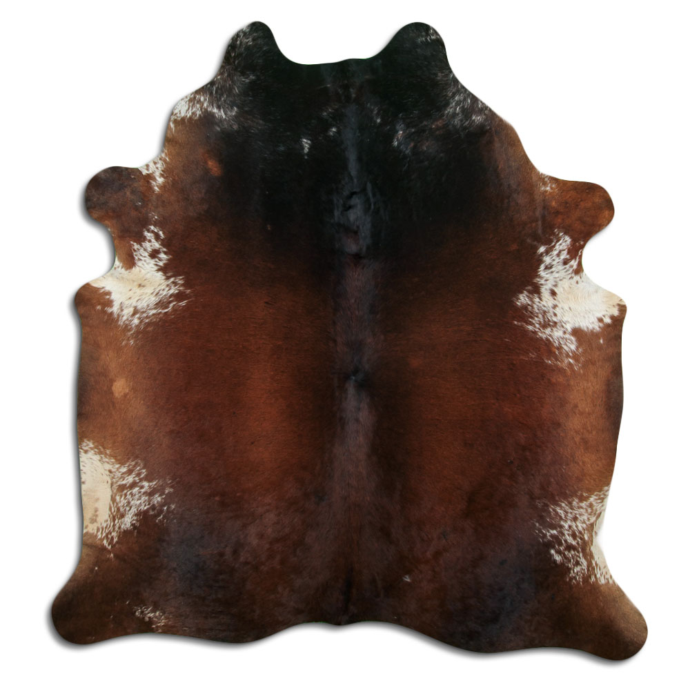 Tornasolado 3 - 4 M Classe B