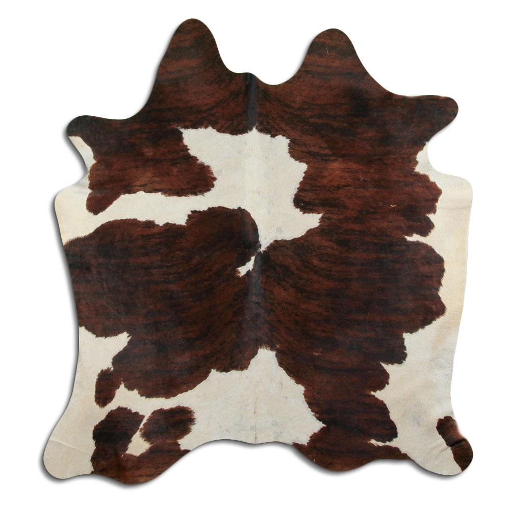 Tricolor Exotico 2 - 3 M Classe B