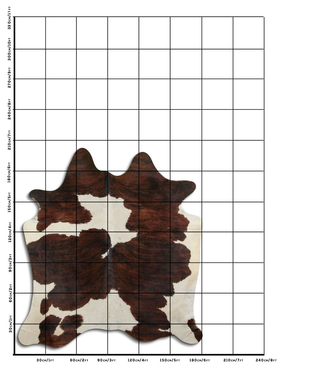 Tricolor Exotico 2 - 3 M Classe B