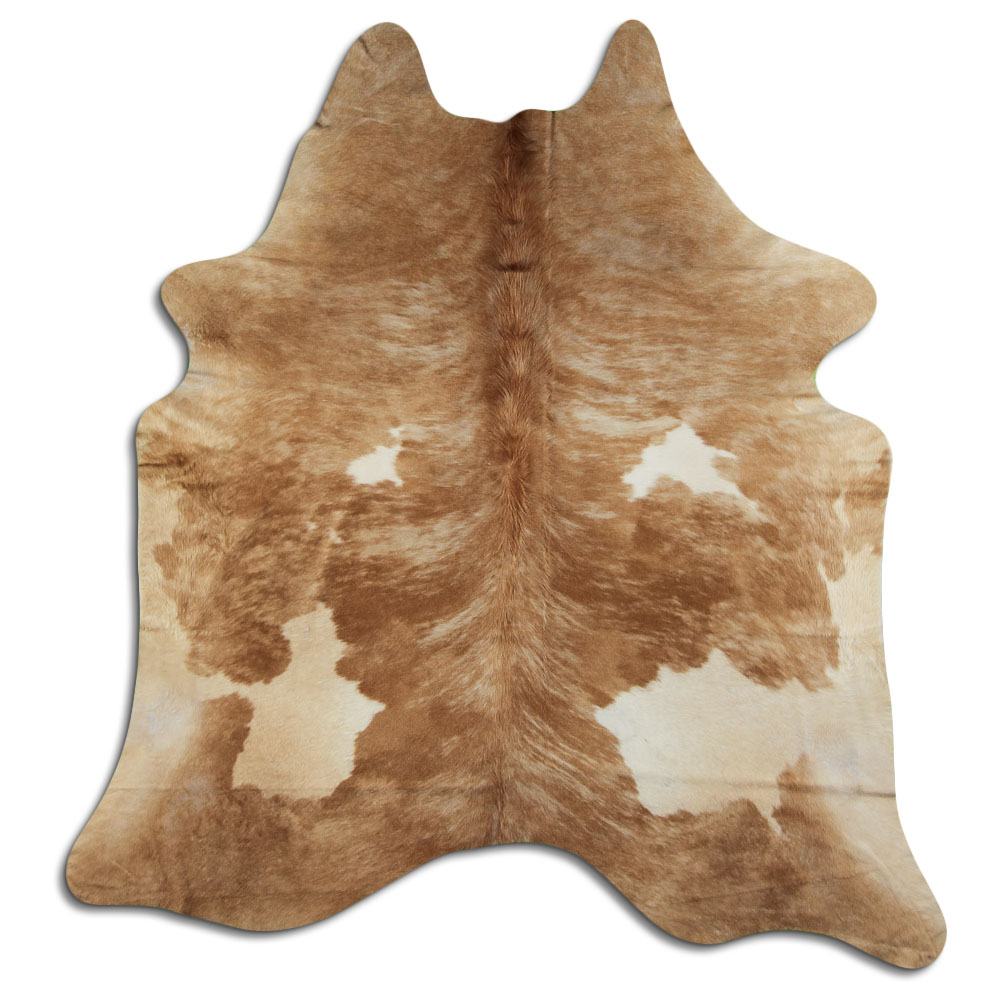 Tricolor Exotico 2 - 3 M Classe B