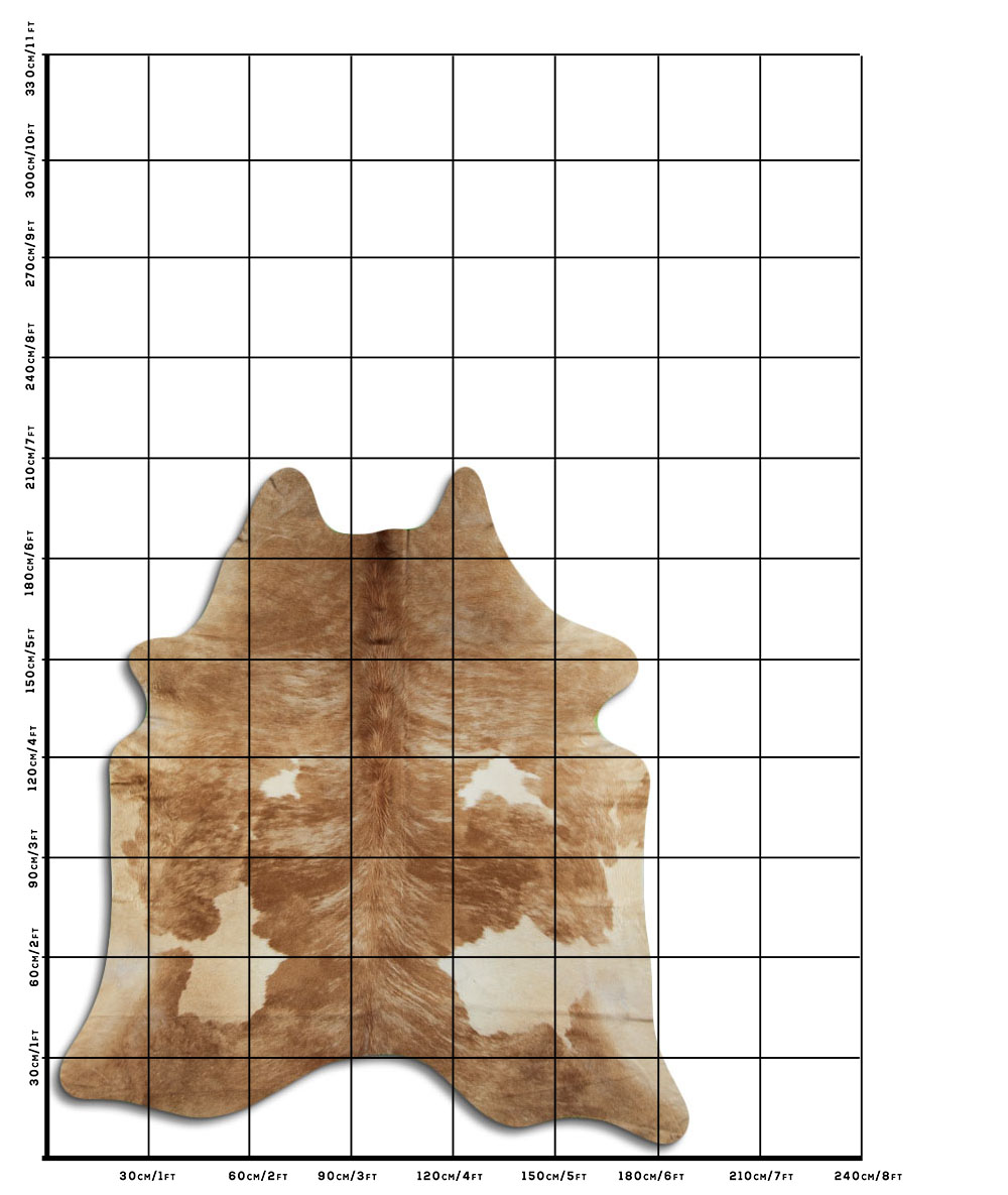 Tricolor Exotico 2 - 3 M Classe B