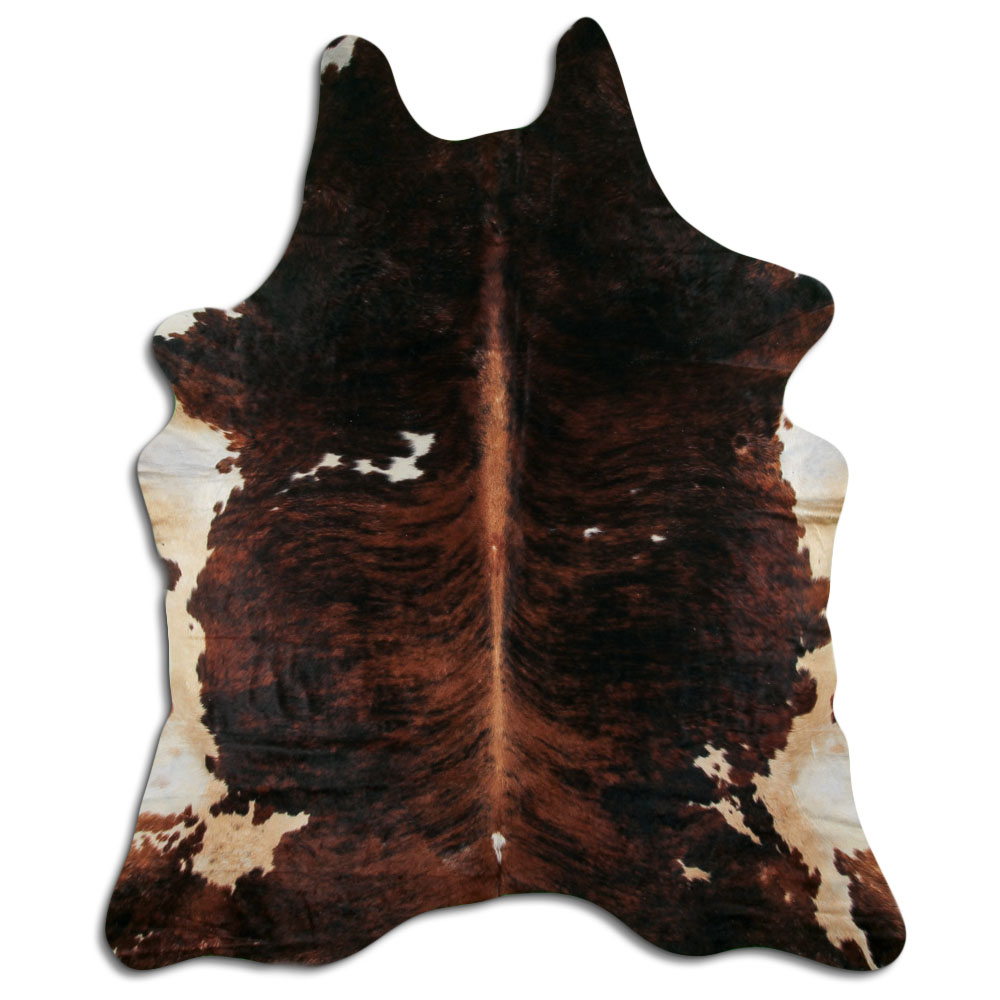 Tricolor Exotico 3 - 4 M Classe B