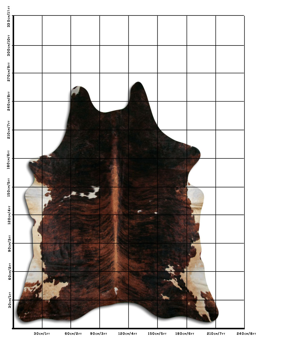 Tricolor Exotico 3 - 4 M Classe B Tricolor Exotico 3 - 4 M Classe B