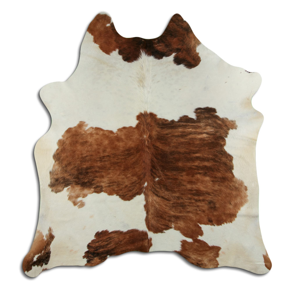 Tricolor Exotico 3 - 4 M Classe B