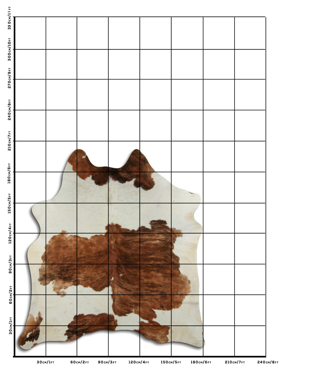 Tricolor Exotico 3 - 4 M Classe B