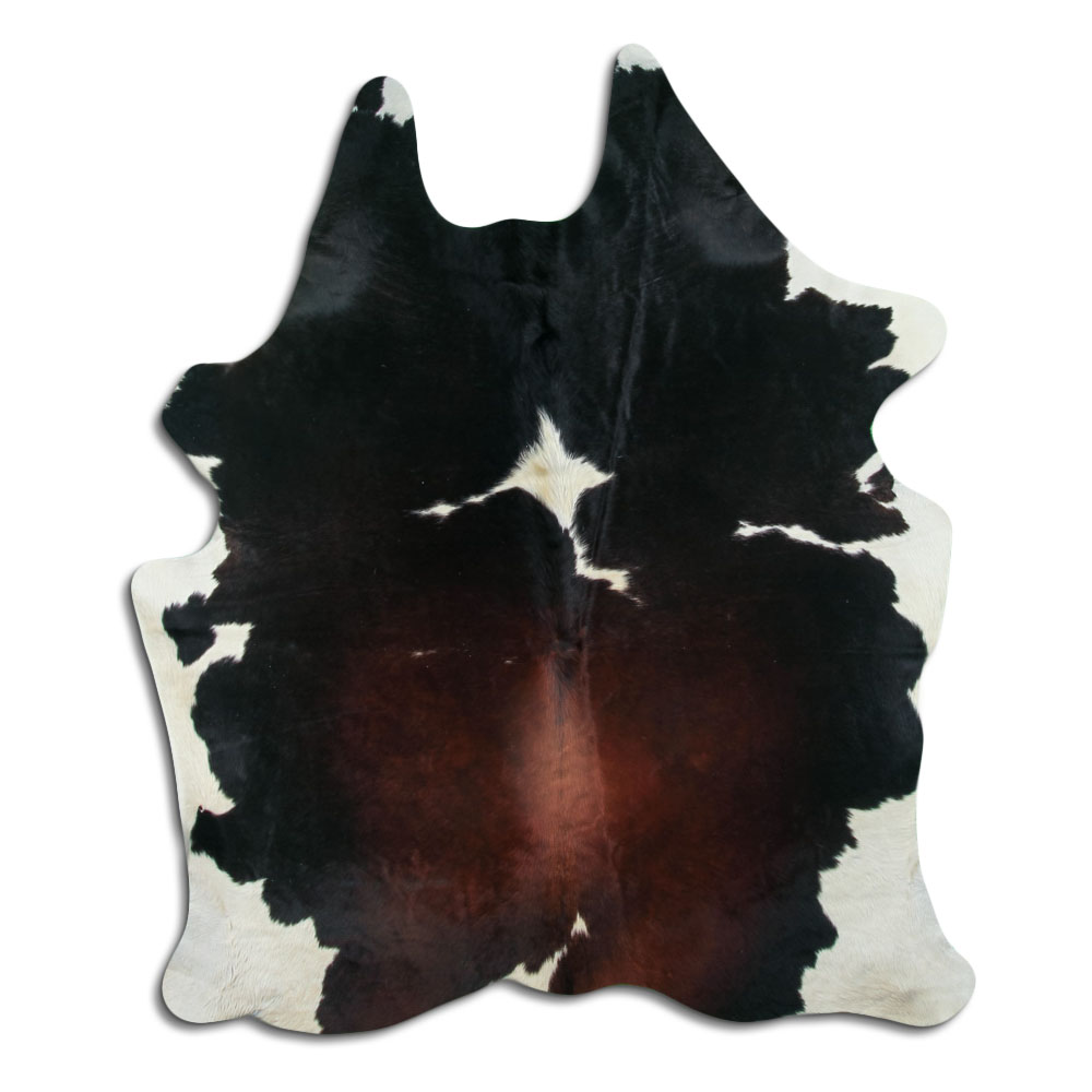 Tricolor 2 - 3 M Grade A