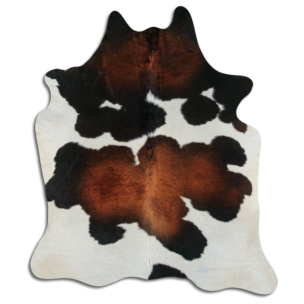 Tricolor 2 - 3 M Grade A