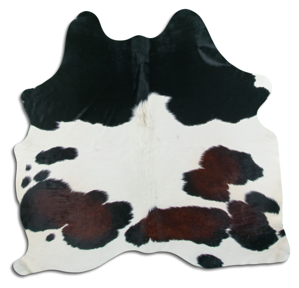 Tricolor 2 - 3 M Grade A