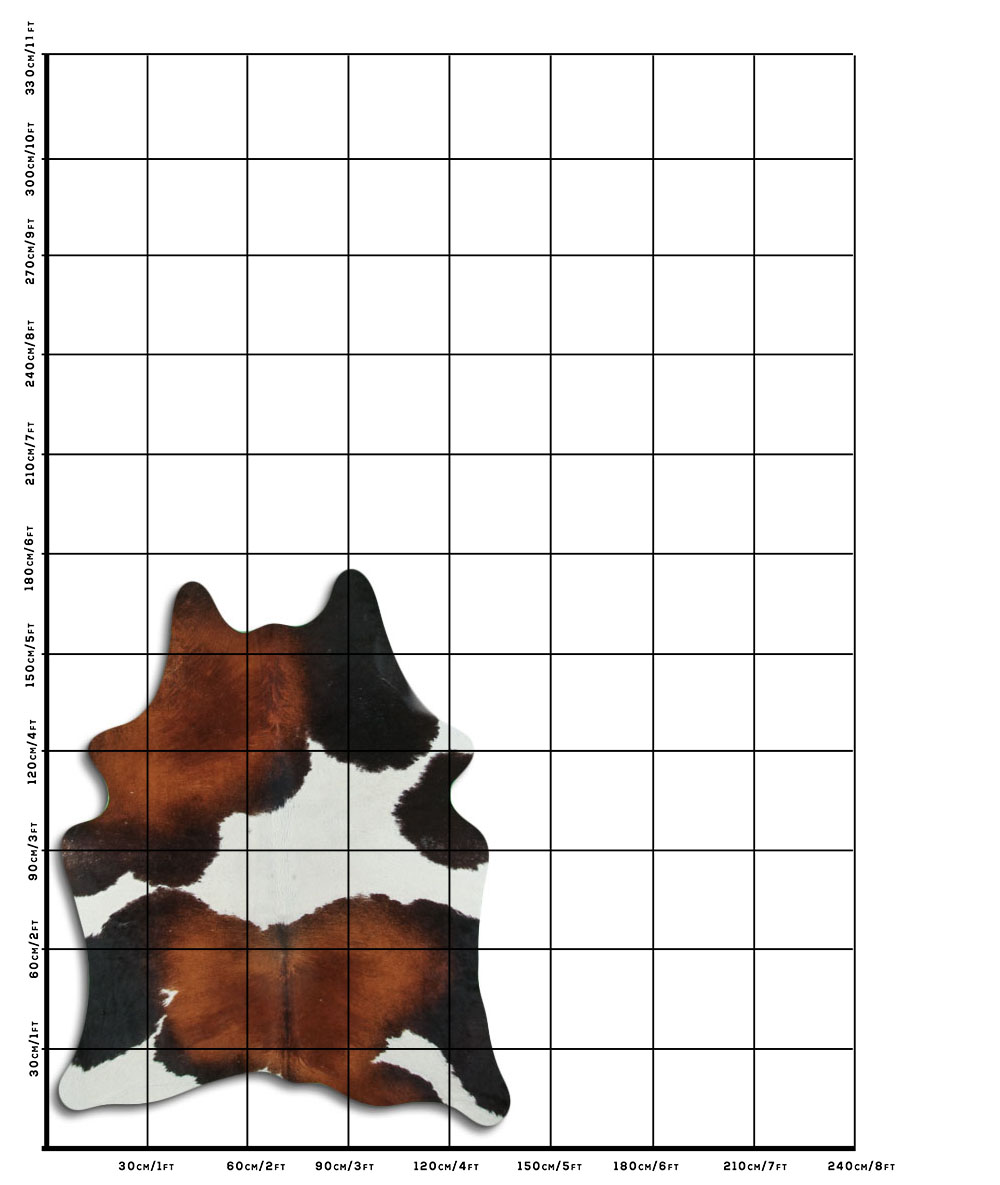 Tricolor 2 - 3 M Classe B