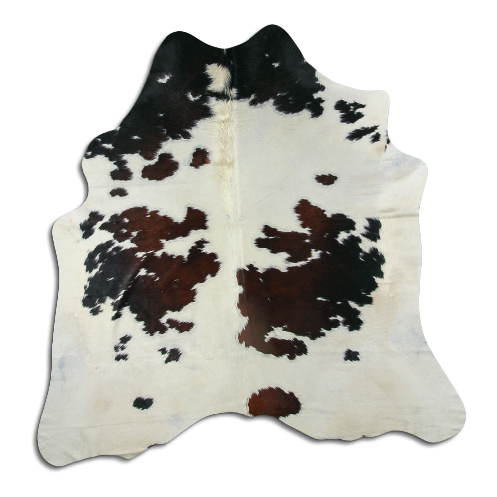Tricolor 3 - 4 M Classe B