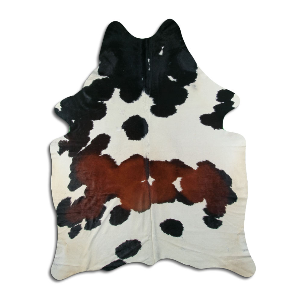 Tricolor 3 - 4 M Classe B