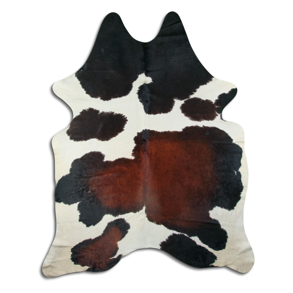 Tricolor 3 - 4 M Classe B