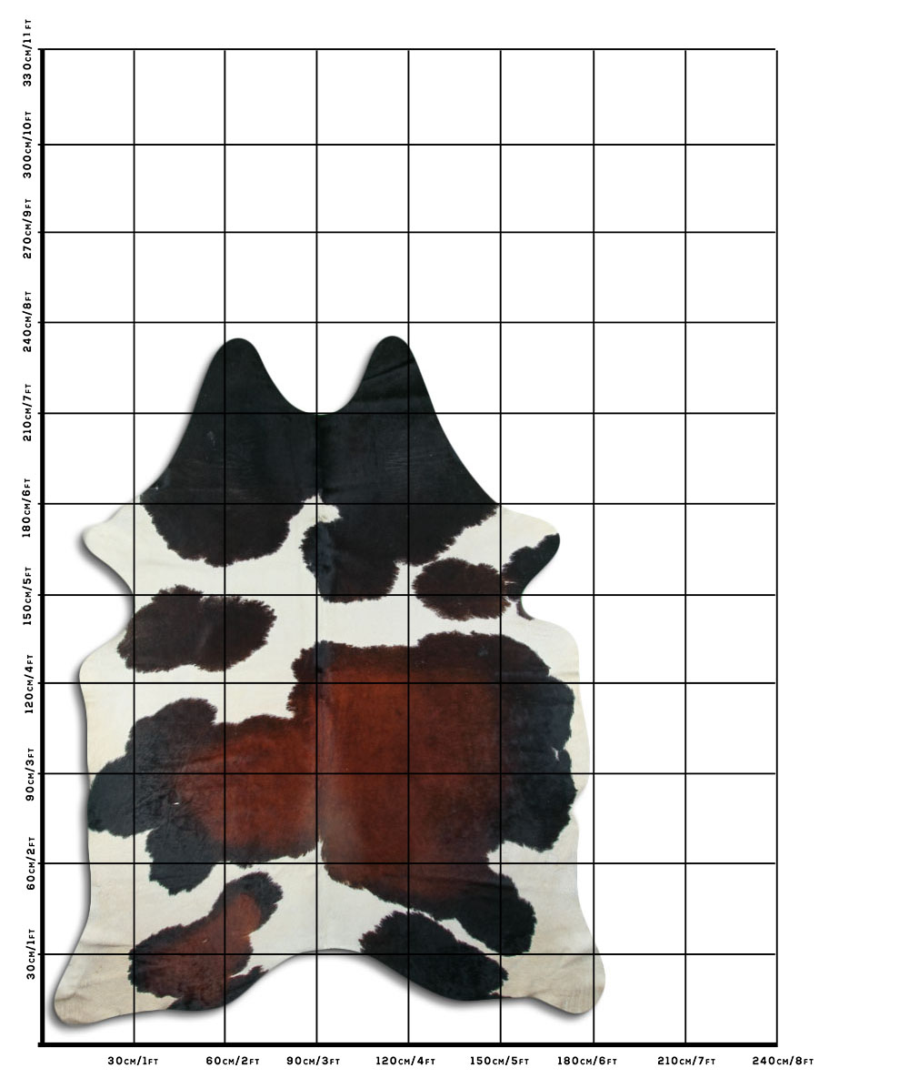 Tricolor 3 - 4 M Classe B