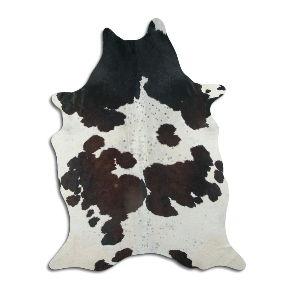 Tricolor 3 - 4 M Classe B