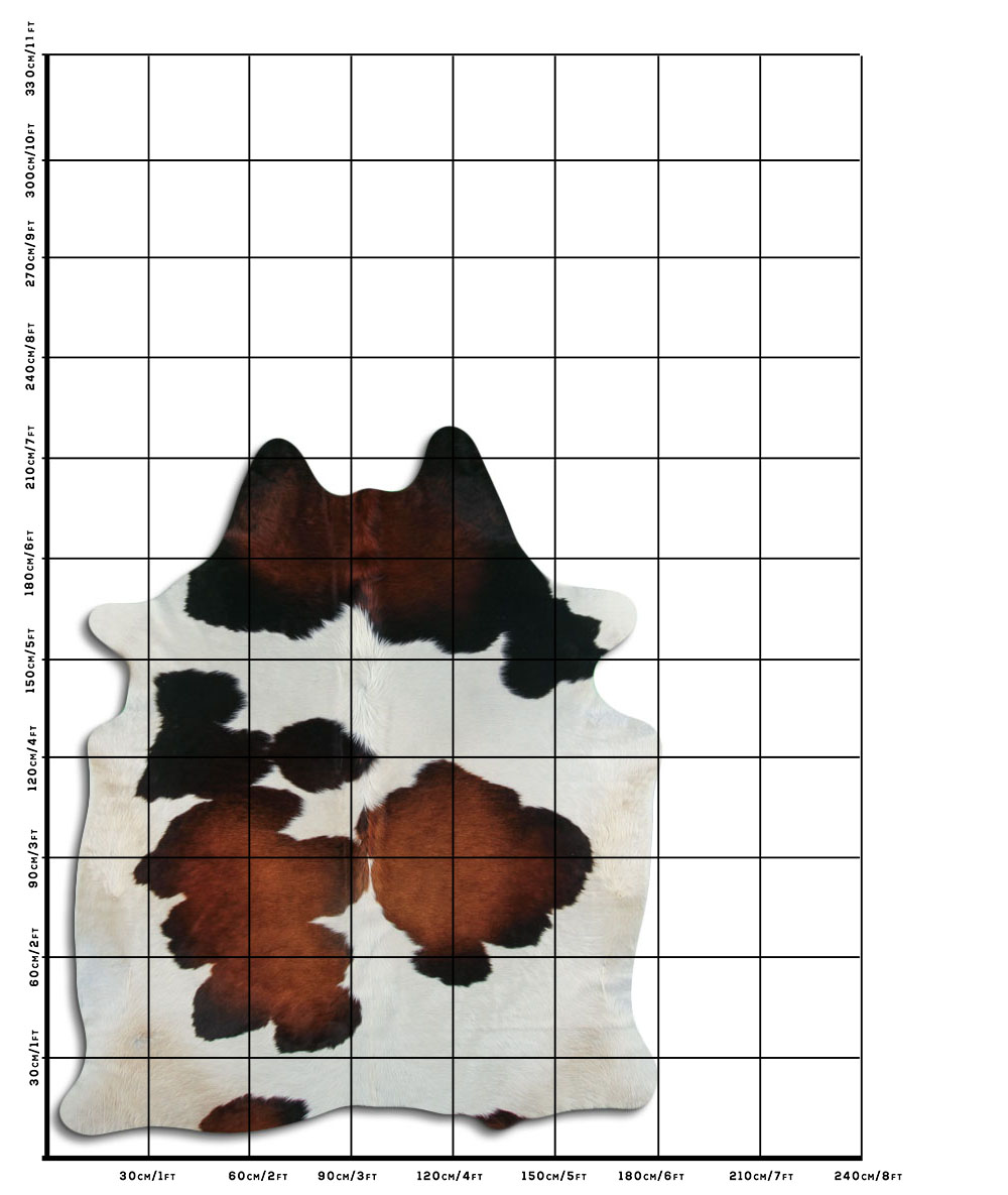 Tricolor 3 - 4 M Classe B