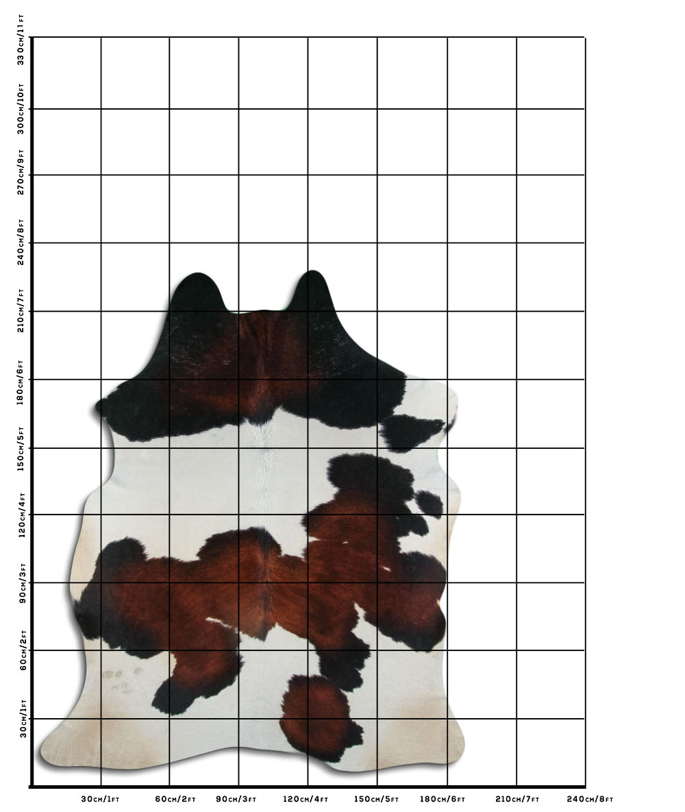 Tricolor 3 - 4 M Classe B