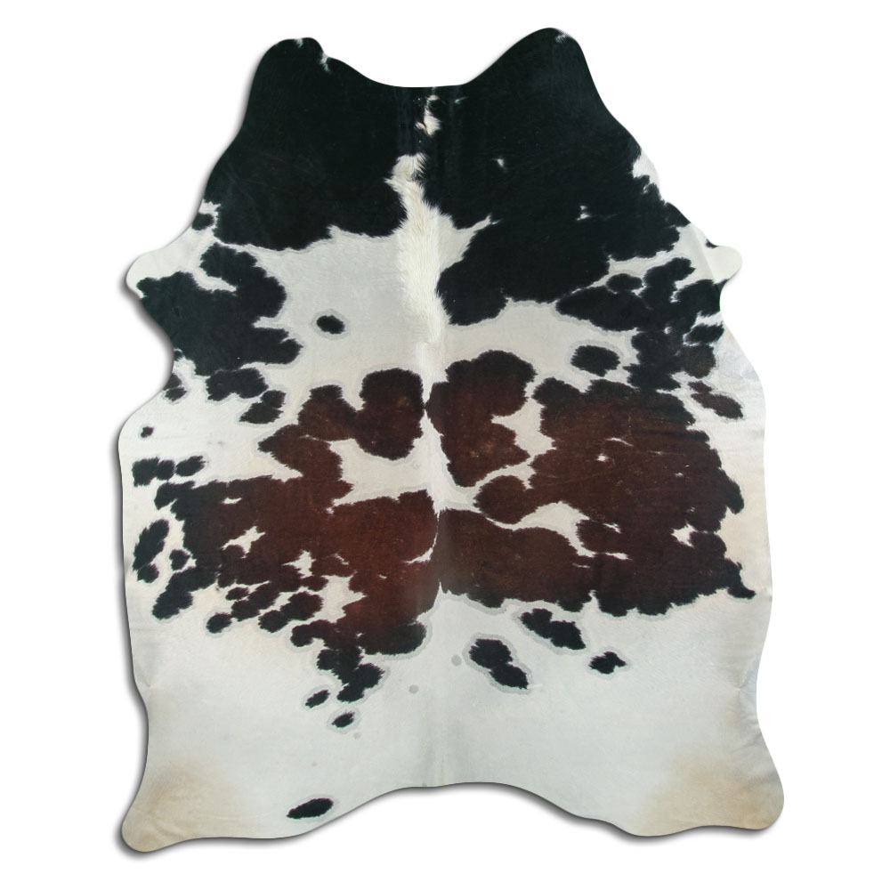 Tricolor 3 - 4 M Classe B