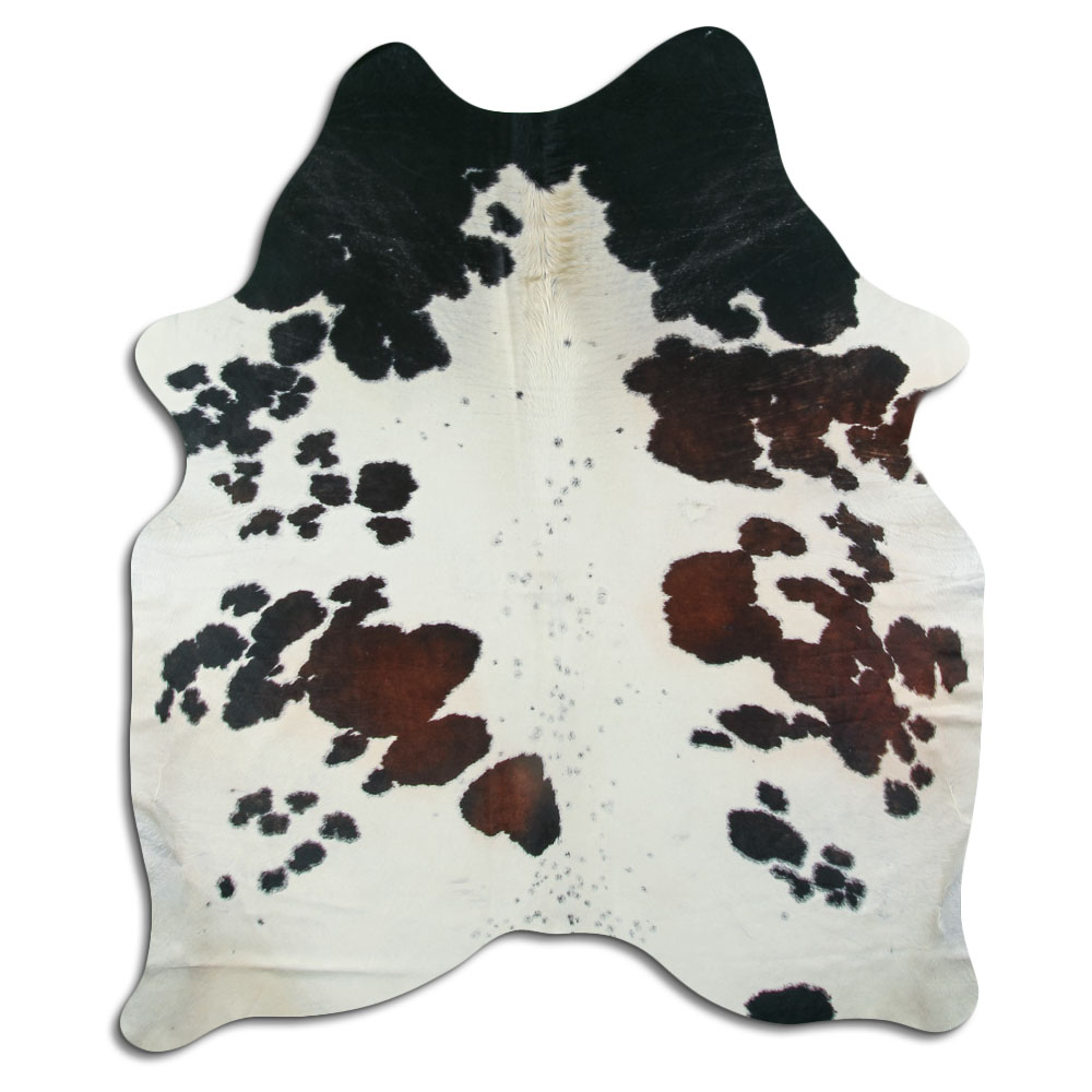 Tricolor 3 - 4 M Classe B