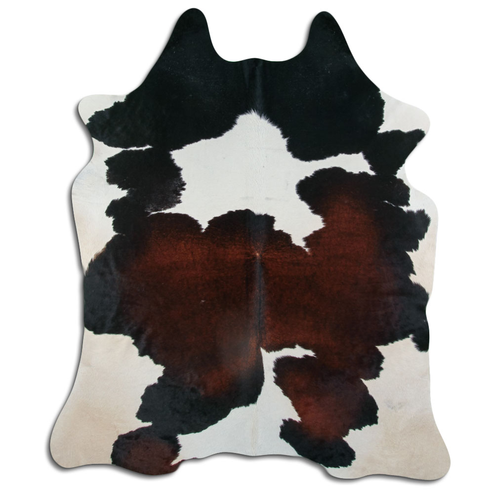 Tricolor 3 - 4 M Classe B