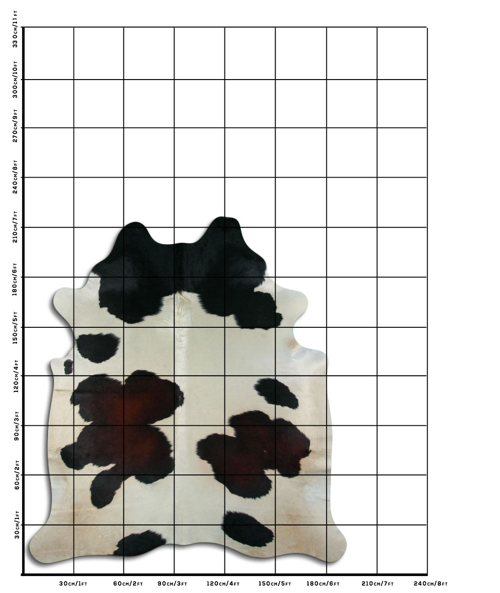 Tricolor 3 - 4 M Classe B